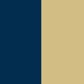 Navy / Vegas Gold